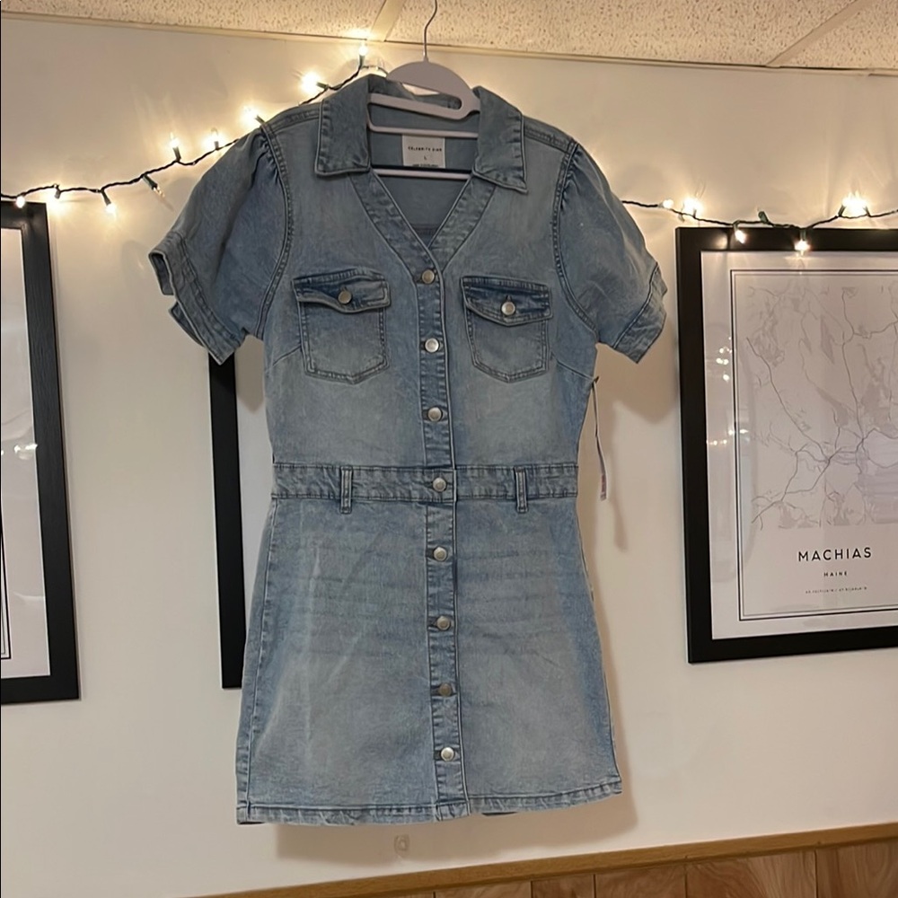 Celebrity Pink Light Blue Denim Dress